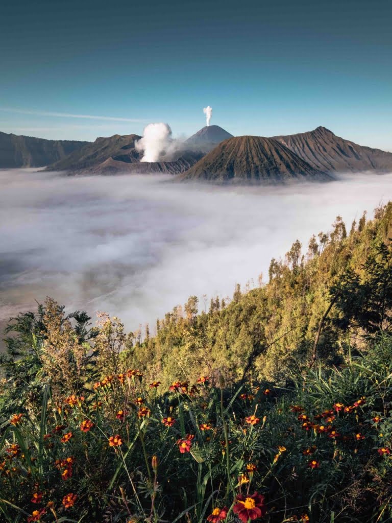 Bromo Midnight Tour From Surabaya | Privat Tour