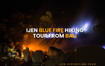 Ijen Blue Fire Hiking Tour from Bali